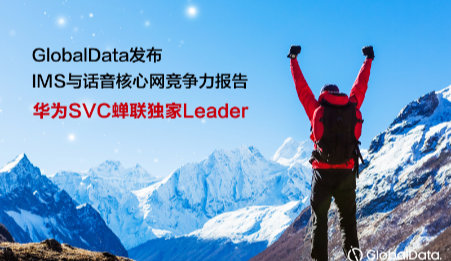 GlobalData IMS Leader pc